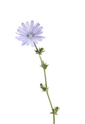 Similar image 709066