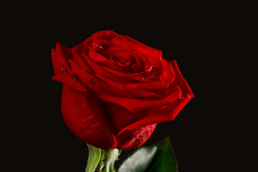 Similar image 709075