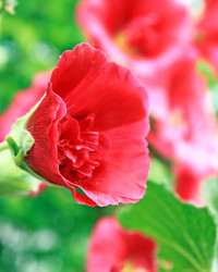 Similar image 709099