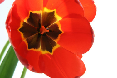 Similar image 709125