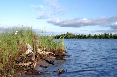 Similar image 709148