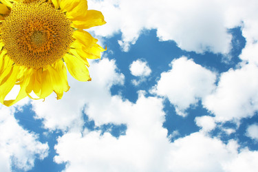 Similar image 709152