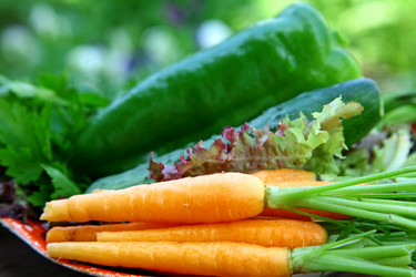 Similar image 709155