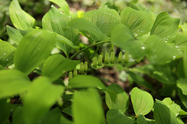 Similar image 709171