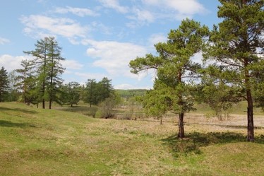 Similar image 709198