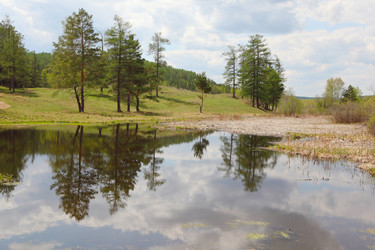 Similar image 709199