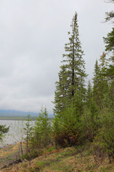 Similar image 709200