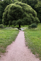 Similar image 709216