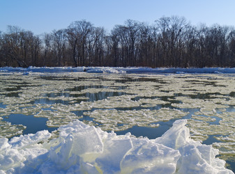 Similar image 709219