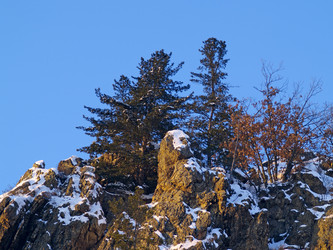 Similar image 709225