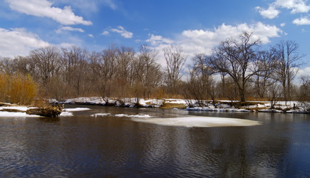 Similar image 709228