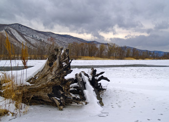 Similar image 709229