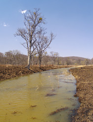 Similar image 709233