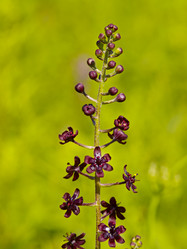 Similar image 709234