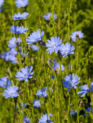 Similar image 709236