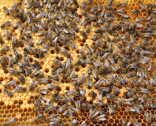 Similar image 709249