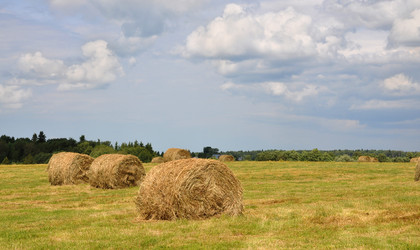 Similar image 709255