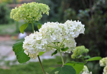 Similar image 709259