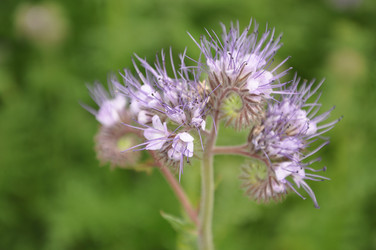 Similar image 709261