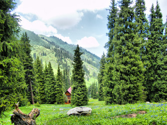 Similar image 709266