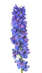 Similar image 709274