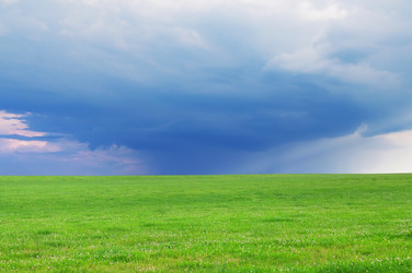 Similar image 709287