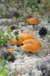 Similar image 709297