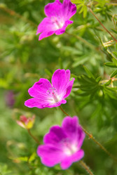 Similar image 709301