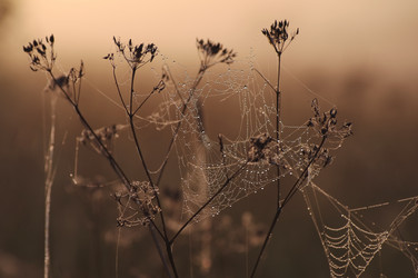 Similar image 709303