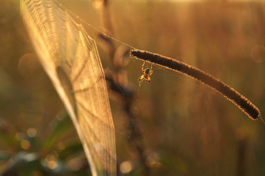 Similar image 709304