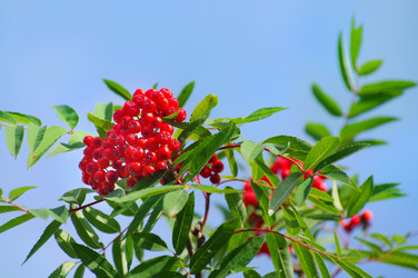 Similar image 709309