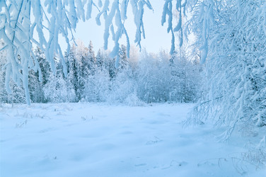 Similar image 709312