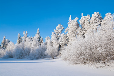 Similar image 709314