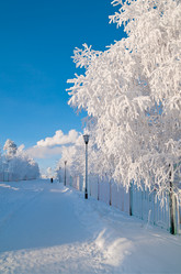 Similar image 709327