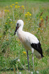 Similar image 709333