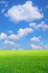 Similar image 709336