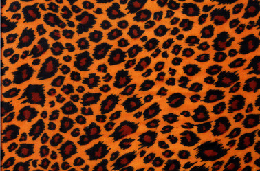 Similar image 709360