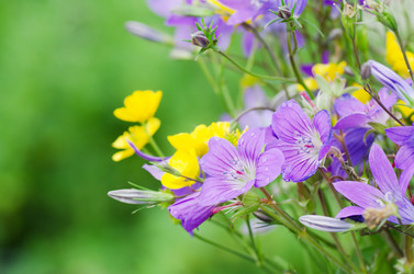 Similar image 709381