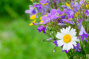 Similar image 709382