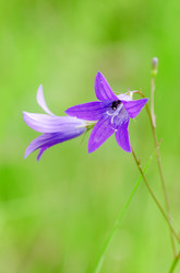 Similar image 709384