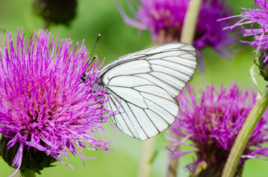 Similar image 709387