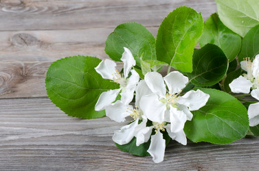 Similar image 709405