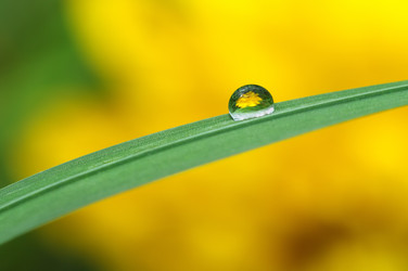 Similar image 709417