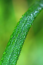 Similar image 709418