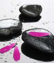 Similar image 709441