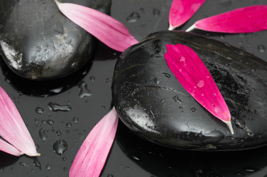 Similar image 709442