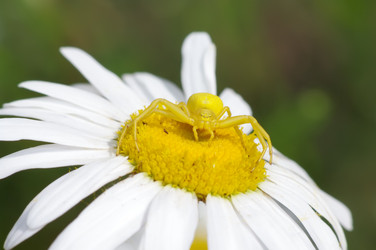 Similar image 709443