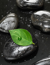 Similar image 709446