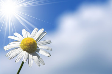 Similar image 709451