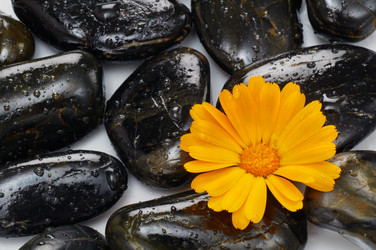 Similar image 709457